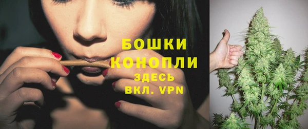PSILOCYBIN Пестово