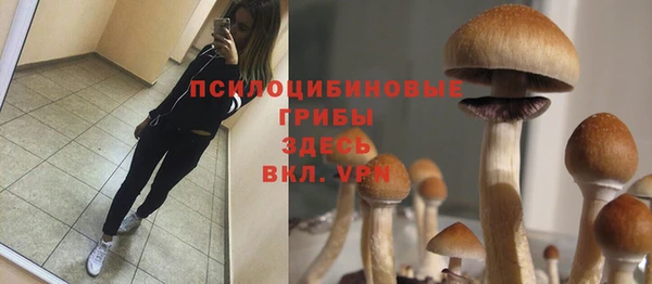 герыч Переславль-Залесский
