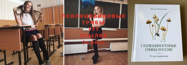 spice Пересвет