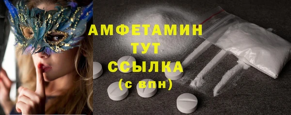 стаф Кохма