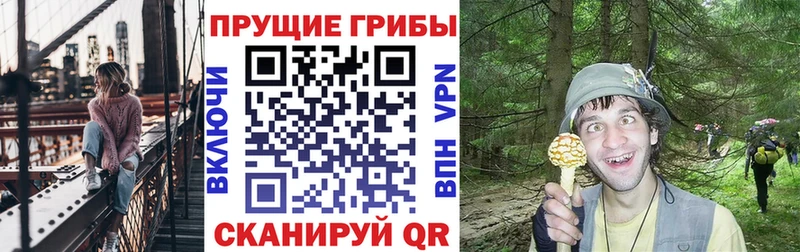 закладки shop наркотические препараты Псилоцибиновые грибы прущие грибы Ростов